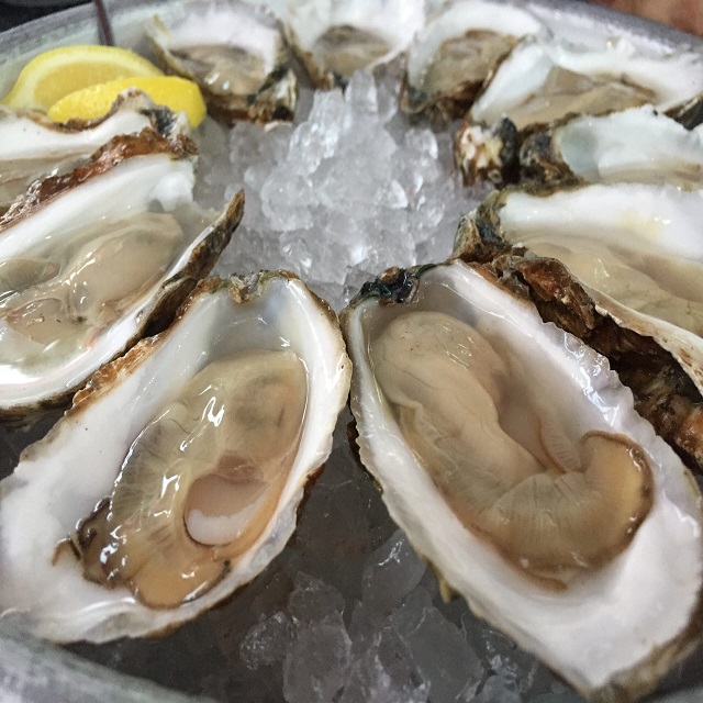 oysters shellfish